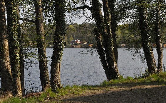 Bathing Area at Lake Wutzsee
