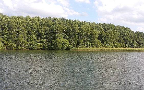 Bathing Area at Lake Gudelacksee in Lindow (Mark)