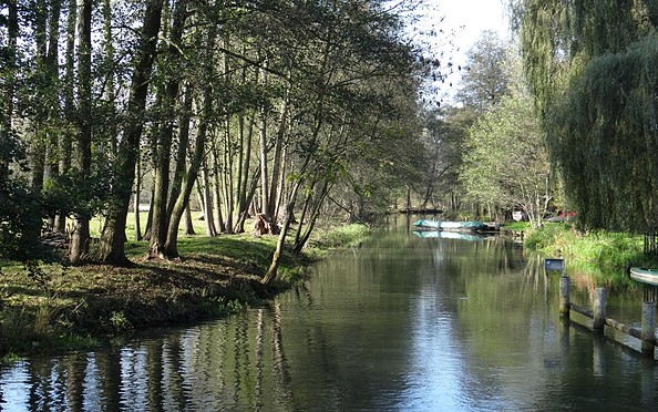 Spree an der Dubkow-Mühle, Foto: Wolfgang Roth