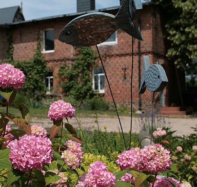 Fishery Schröder