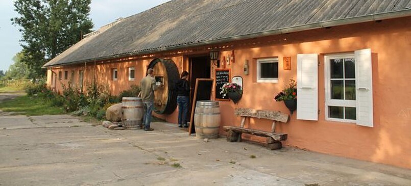 Weingut Klosterhof Töplitz - vineyard