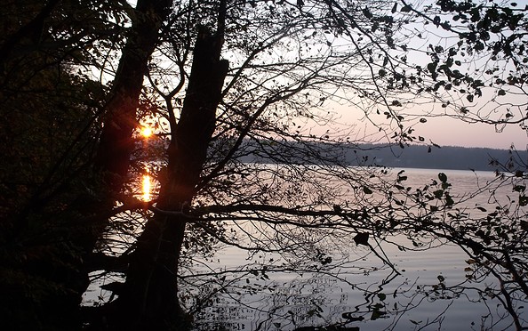 Sonnenuntergang am Werbellinsee, Foto: WITO Barnim GmbH / Irene Richter