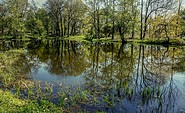 Schlosspark Plaue, Foto: Dr. Gunter Dörhöfer