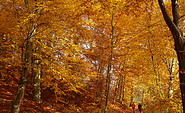 Herbstwanderung im Schlaubetal, Foto: Sofie-Helen Schulze