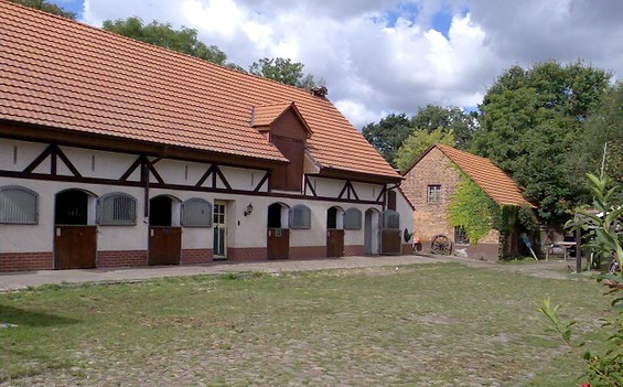 Reiterhof Richter, Reit- und Fahrschule