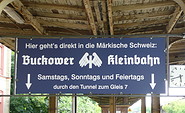 Buckower Kleinbahn, Foto: Uwe Klötzer