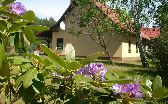 Ferienhaus Gollin