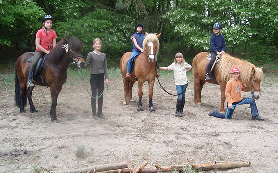 Reiten auf Islandpferden, Foto: Anna Stahmann