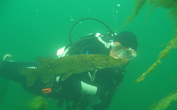 Tauchbasis Strausberg
