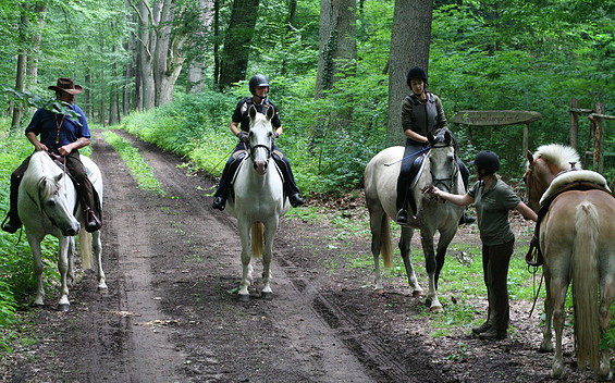 Reiter im Wald, Foto: Monique Müller