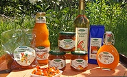 Produkte Sanddorn-Garten Petzow