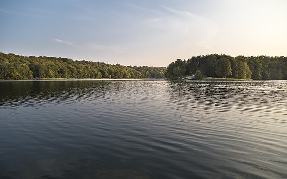 Liepnitzsee Forest Bathing Area