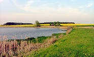 Friedländer Teiche, Foto: Seenland Oder-Spree