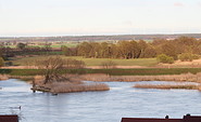 Blick über die Oder bei Lebus, Foto: Katrin Riegel