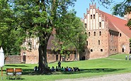 Schulbesuch im Kloster Chorin, Foto: Ulrike Schuhose