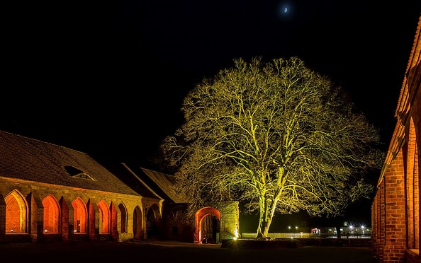 Adventssonntage im Kloster Chorin, Foto: Johannes Nadeno