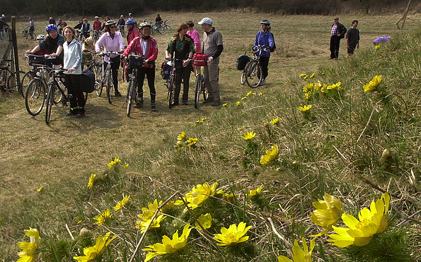 Fahrradtour zu den Adonisröschen, Foto: Seenland Oder-Spree e.V.