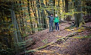 Wanderung Naturpark Schlaubetal, Foto: Florian Läufer
