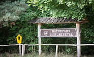 Wanderung Naturpark Schlaubetal, Foto: Florian Läufer
