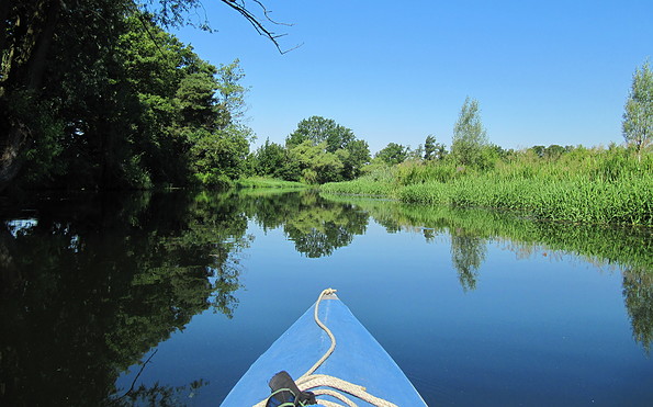 Mit dem Kanu auf der Spree, Foto: Tourismusverband Seenland Oder-Spree e.V.