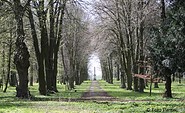Schlosspark mit Obelisk