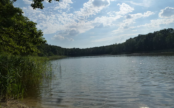 Sauener See, Foto: Monique Müller