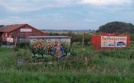 Obstgut Marquardt, Foto: Yvonne Schmiele