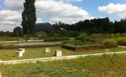 Kurpark Bad Belzig an der Steintherme, Foto: Jan Hoffmann