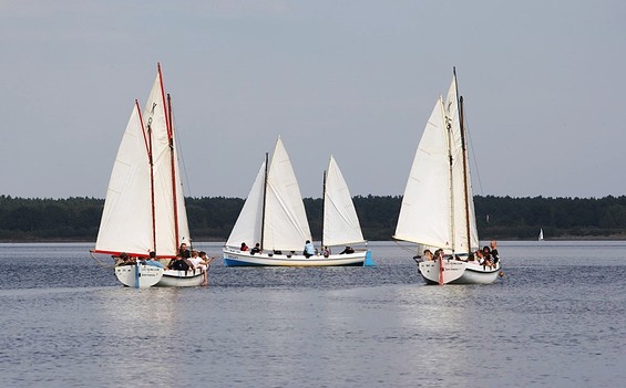 Segeln auf dem Senftenberger See, Foto: Steffen Rasche