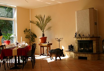 Restaurant "Wilder Eber"
