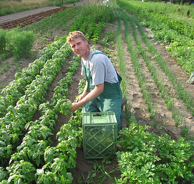 "Gemüsewerk" Organic Market Garden