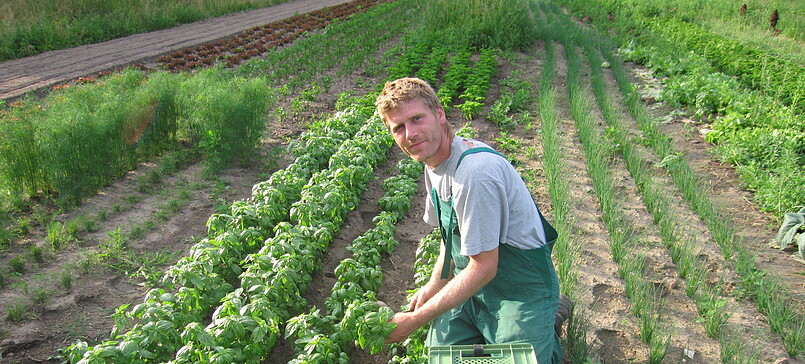 "Gemüsewerk" Organic Market Garden