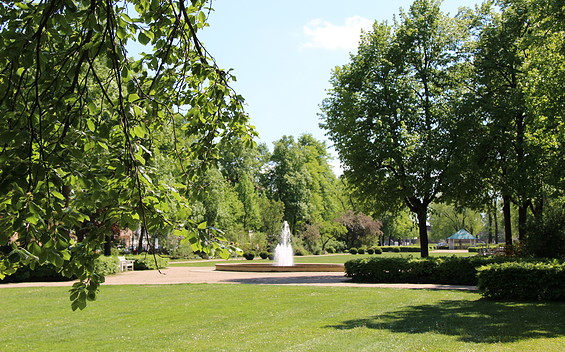 Anger in Frankfurt (Oder), Foto: Pressestelle Frankfurt (Oder)/ Torsten Walther