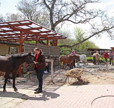 Ponyfarm Gutengermendorf