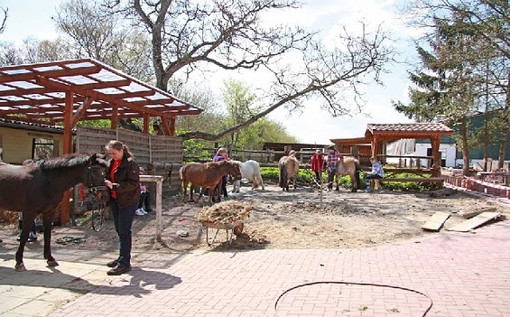 Ponyfarm ©Ponyfarm Gutengermendorf