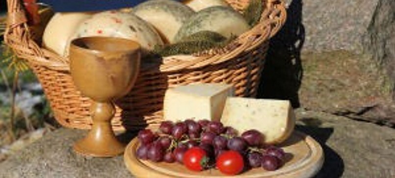 Dairy Sheep Farm "Milchmädels" 