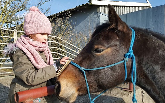 Coaching mit Pferden auf dem Landhof Septemberwiese bei Beeskow, Foto: Jörn Berger