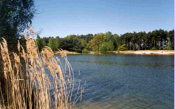 Naturbadesee Garkoschke, Foto: Amt Peitz