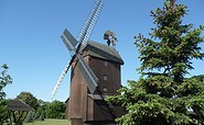 Paltrockwindmühle Schönewalde, Foto: Tourismusverband Elbe-Elster-Land