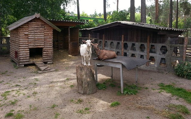 Krümel und Olga