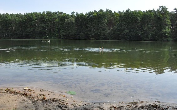 Kiessee, Foto: Diana Bergmann