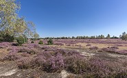Niederlausitzer Heidelandschaft, TMB-Fotoarchiv/Steffen Lehmann