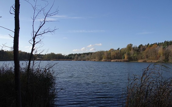 Sachsendorfer Badesee, Foto: Wolfgang Roth
