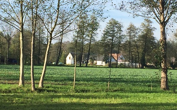 Außenansicht Grundstück