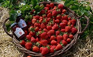 Erdbeeren aus Klaistow, Foto: Buschmann &amp; Winkelmann GmbH