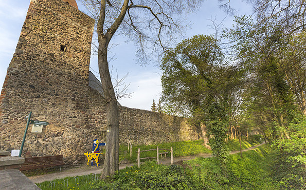Stadtmauer Altlandsberg, Foto: TMB-Fotoarchiv / Steffen Lehmann