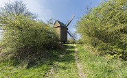 Frühling an der Bockwindmühle in Borne, Foto. TMB-Fotoarchiv/Steffen Lehmann