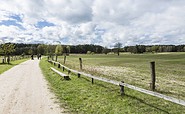 Wildpark Schorfheide, Foto: TMB-Fotoarchiv/Steffen Lehmann