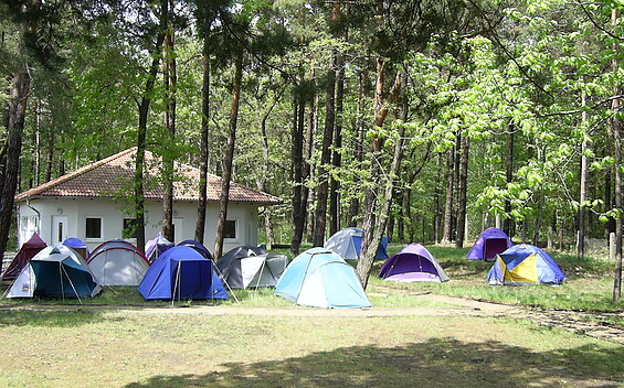 Waldbad-Camp Hosena