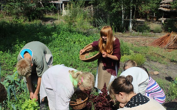 Kräutersammeln, Foto: Lausitzer Wege e.V.